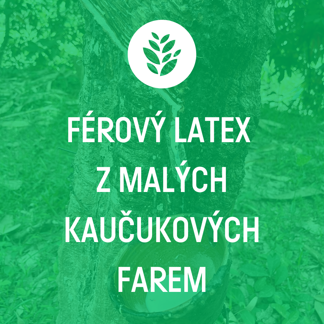 AKCE 1+1 ZDARMA Primeros Tea Tree Vegan Kondomy S Vůní Čajovníku Australského 2x12